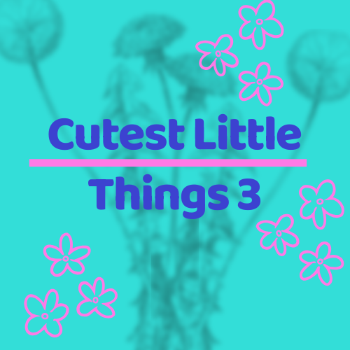 The Story Behind Cutest Little Things 3 and How My Products Brighten Your Day